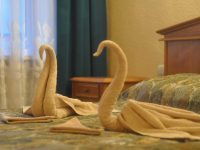 2 м полулюкс