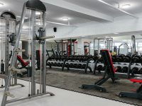 2019 тренажерный зал