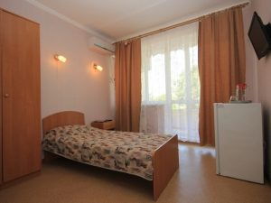 1 м  стандарт