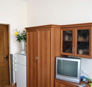 1-к 1-м ПК №245-246