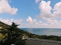 photo 2020 11 03 12 02 26