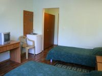 вид номера стандарт