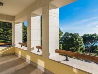 Маша терраса