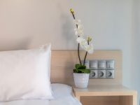 Стандарт улучшенный с двуспальной и двухъяруcной кроватями Green Park (6...