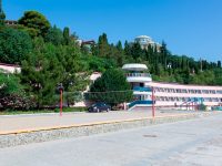 основное фото