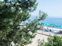 вид из номера 2 м улучш