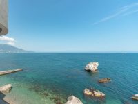 Джуниор.   Адмир