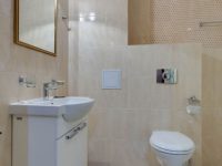 полулюкс санузел